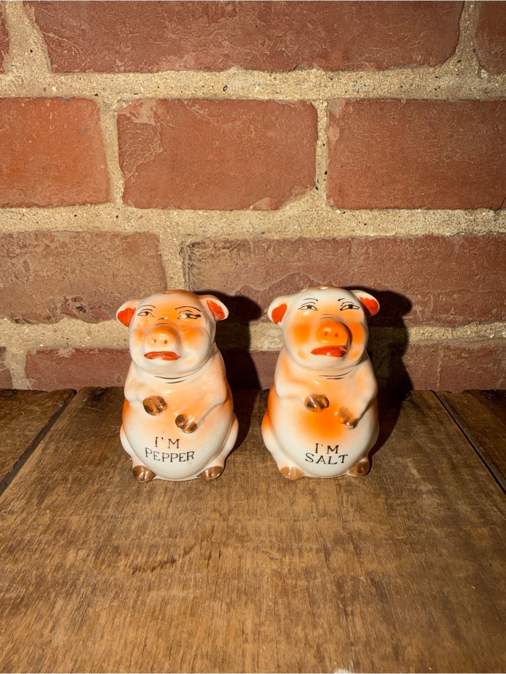 Vintage Pig Salt and Pepper Shakers Set Im Salt Im Pepper Anthropomorphic